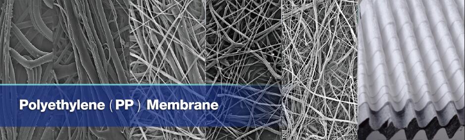 PP-membrane-cbt.jpg